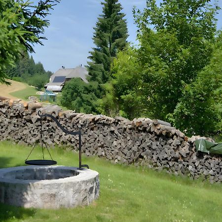 Gasthaus-Pension Zum Loewen Grafenhausen Extérieur photo