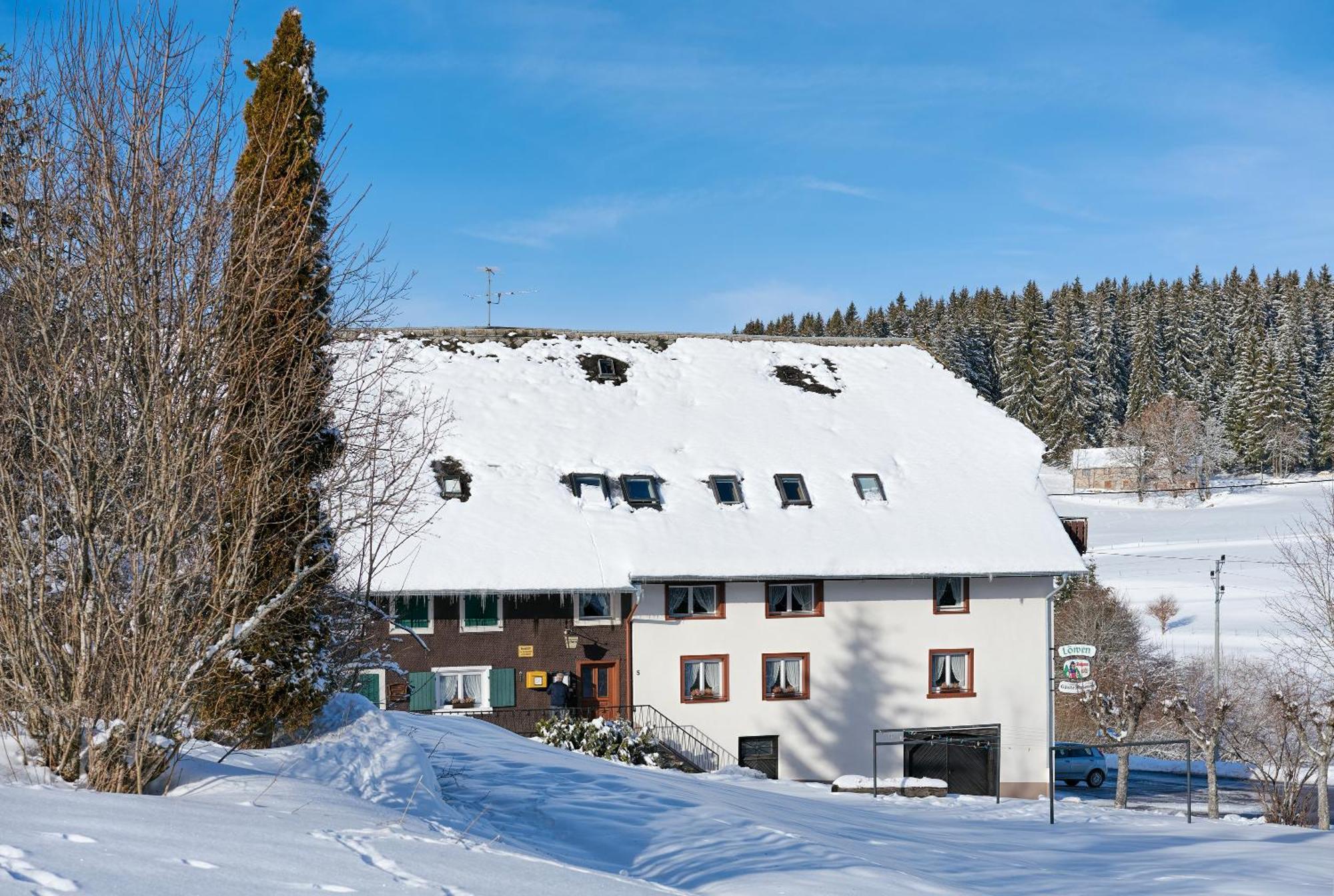 Gasthaus-Pension Zum Loewen Grafenhausen Extérieur photo