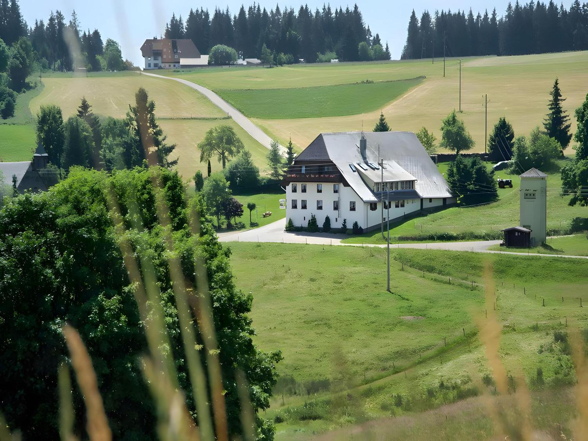 Gasthaus-Pension Zum Loewen Grafenhausen Extérieur photo