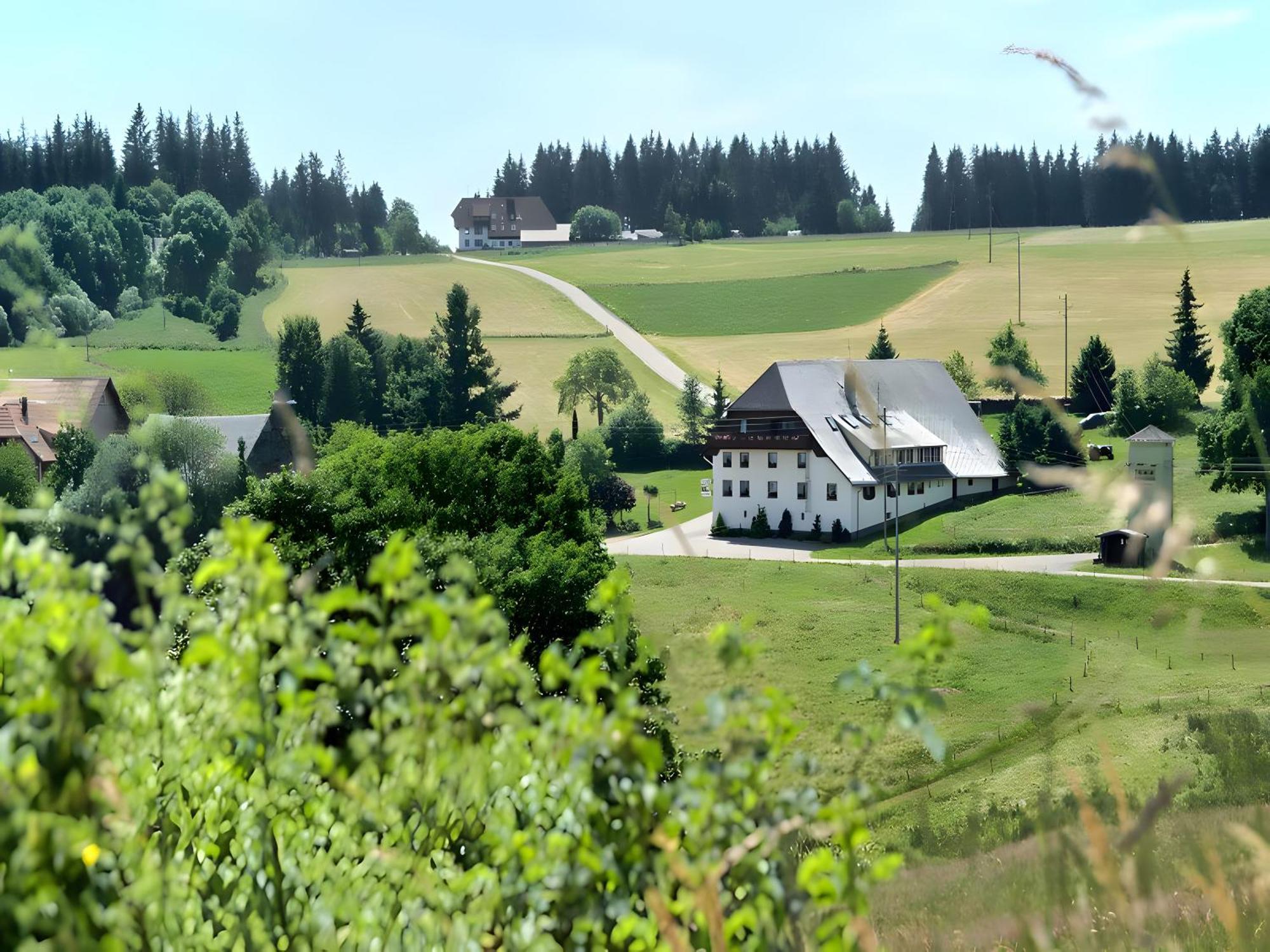 Gasthaus-Pension Zum Loewen Grafenhausen Extérieur photo