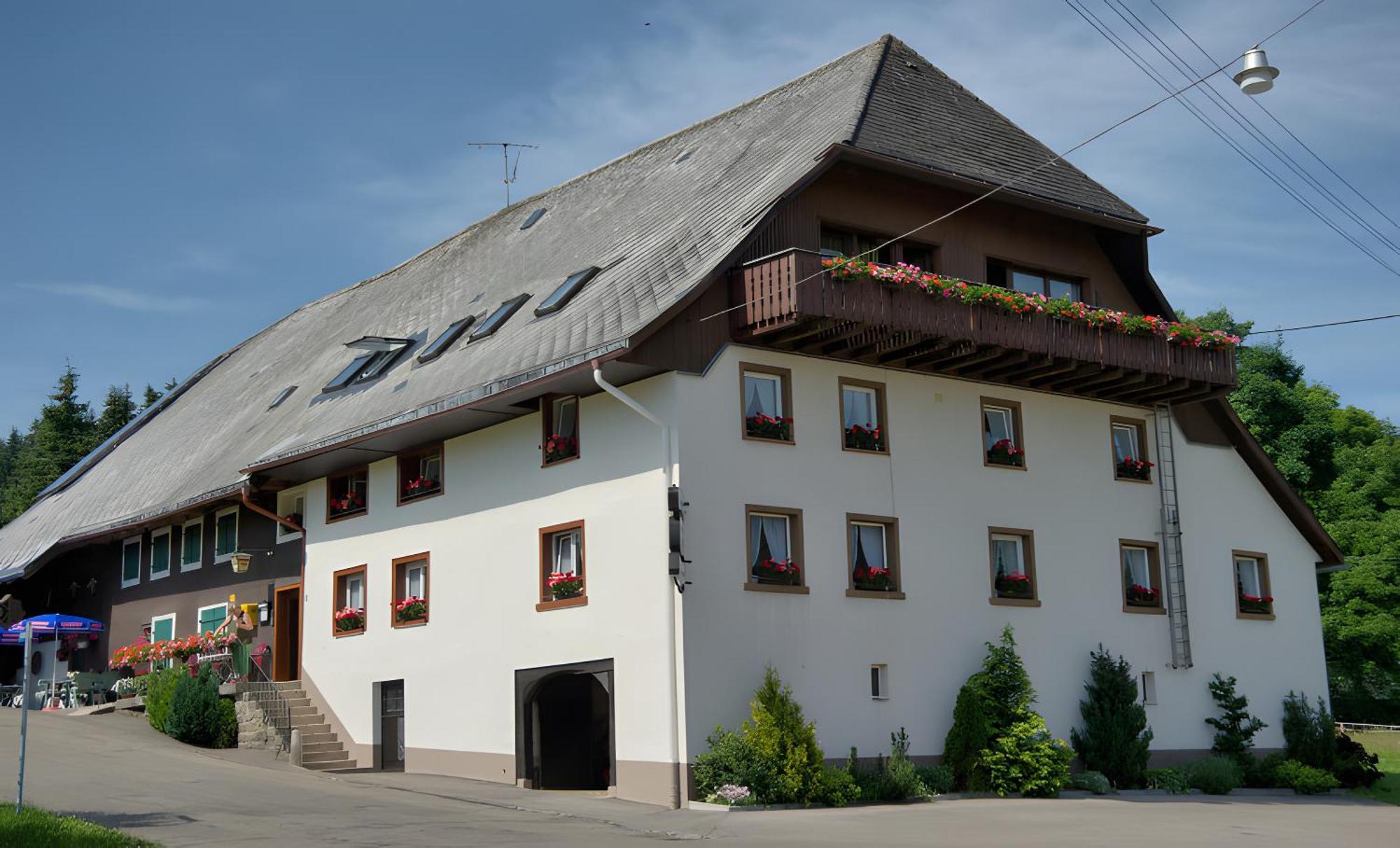 Gasthaus-Pension Zum Loewen Grafenhausen Extérieur photo