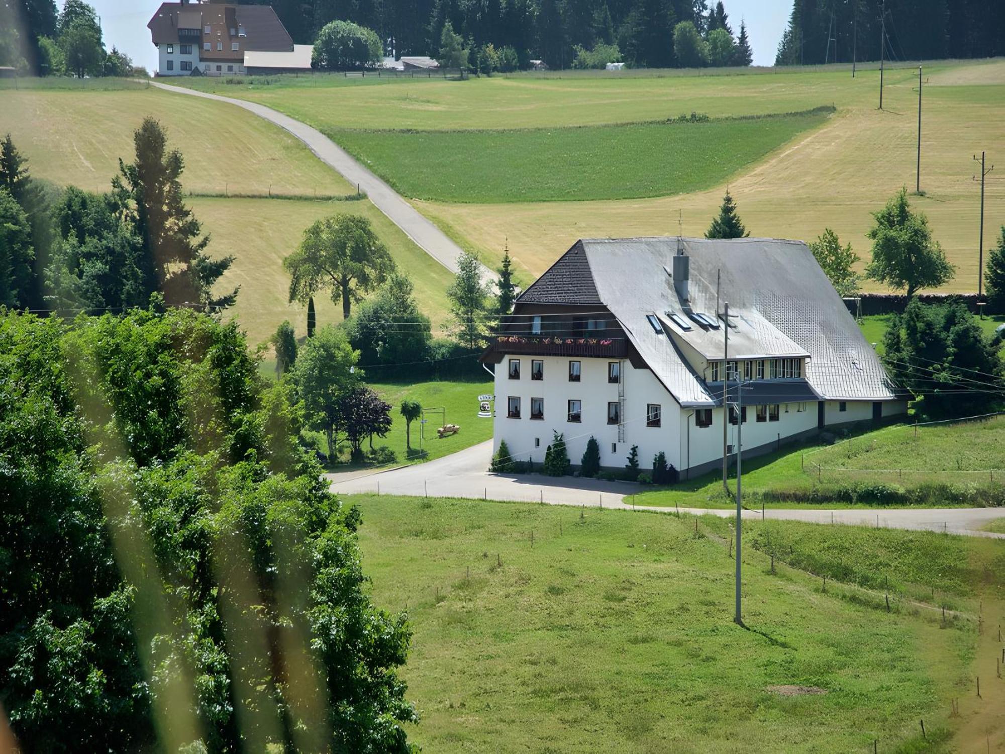 Gasthaus-Pension Zum Loewen Grafenhausen Extérieur photo